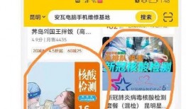 核酸检测公司最新爆料,揭秘病毒检测背后的真相与挑战”