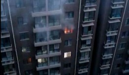 邓州都市爆料事件最新,最新事件追踪，真相渐浮水面